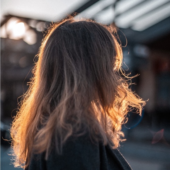 Meet your Posher, Daphne - Picture 1 of 1